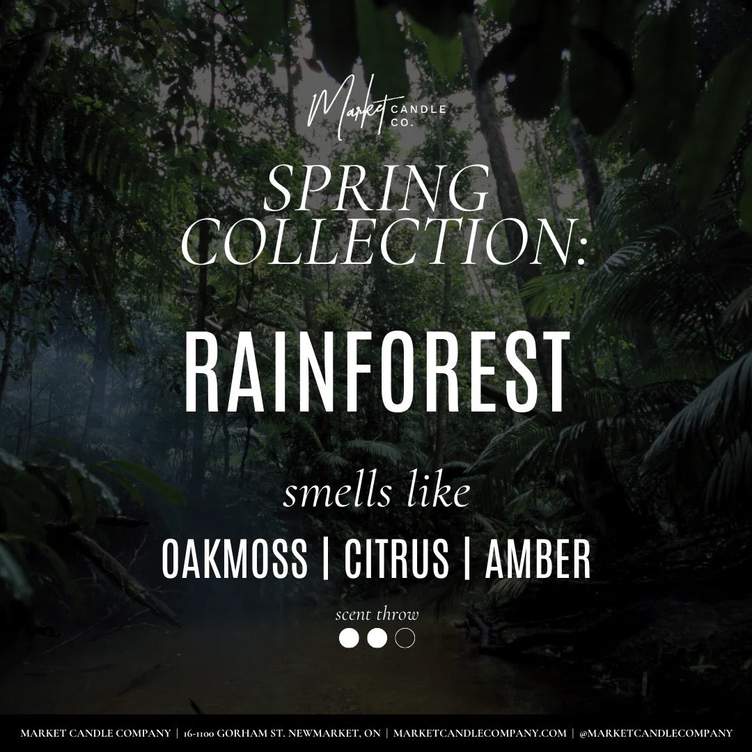 Market Candle Company | Rainforest