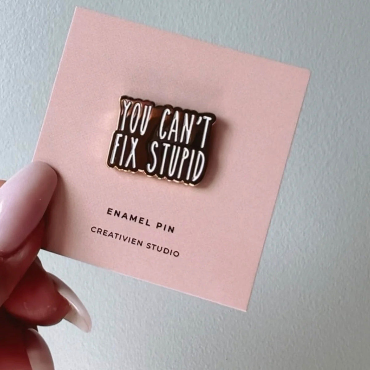 Creativien | You can&#39;t fix stupid Pin