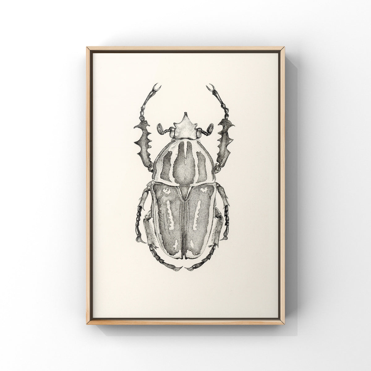 Lisa Mitchell Art | Goliath Beetle