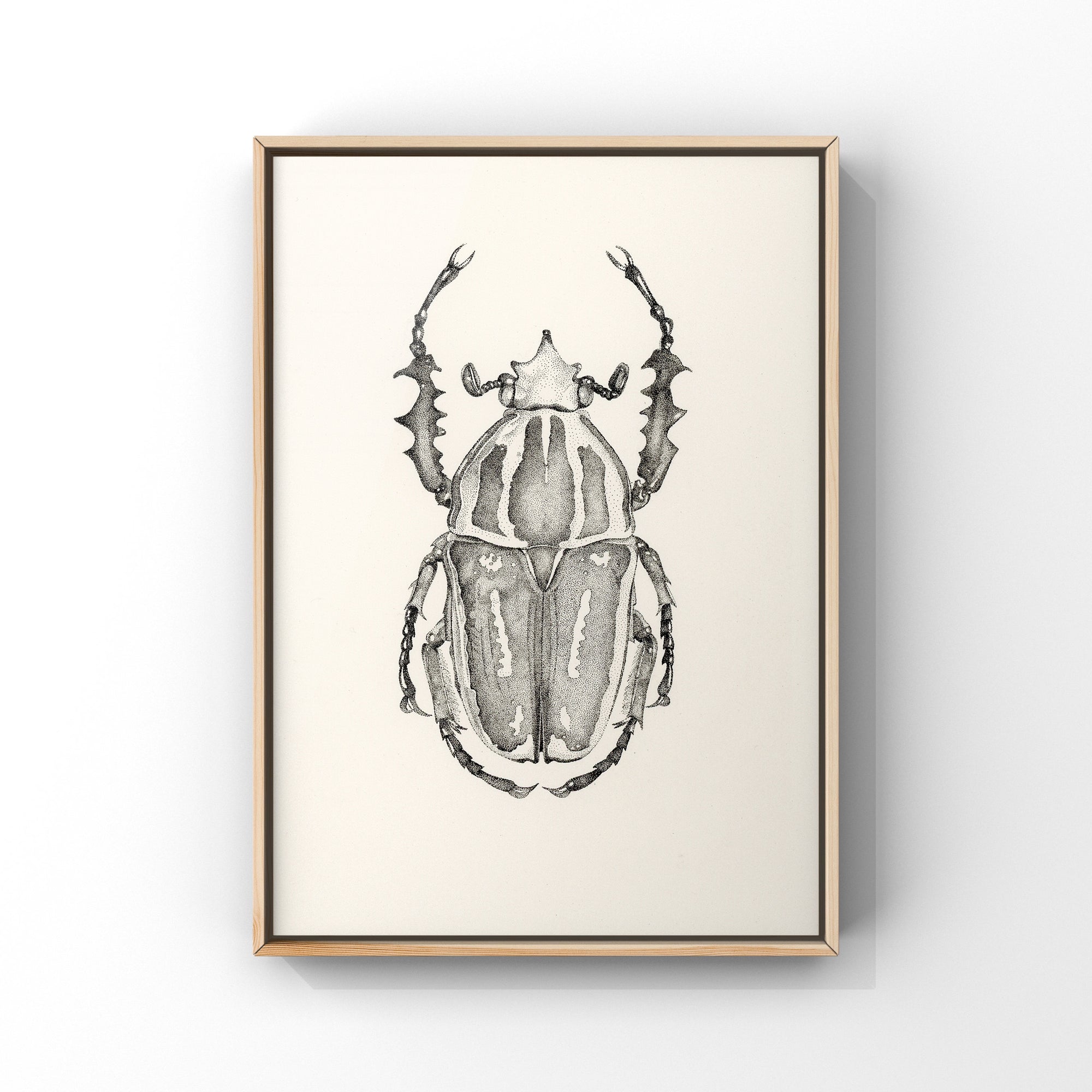 Lisa Mitchell Art | Goliath Beetle