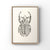 Lisa Mitchell Art | Goliath Beetle