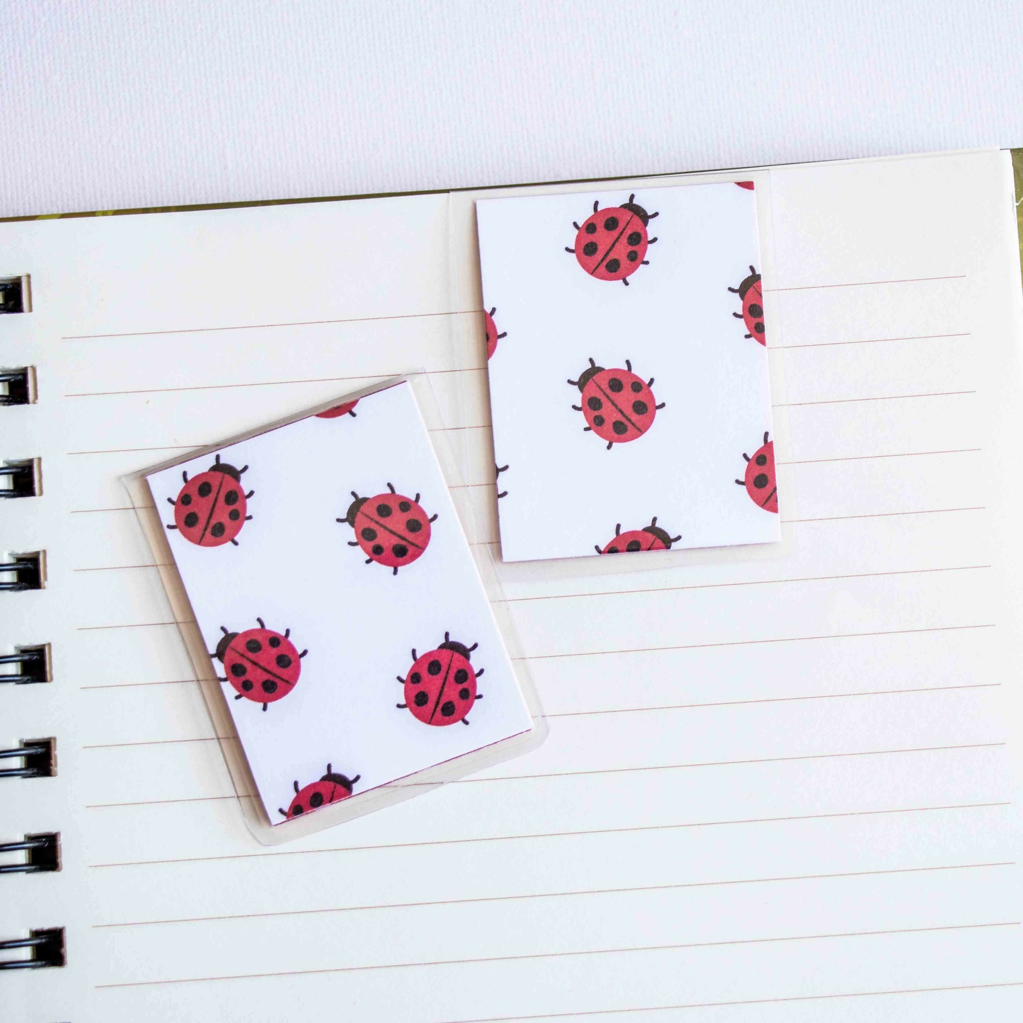 Ladybugs in notebook - small