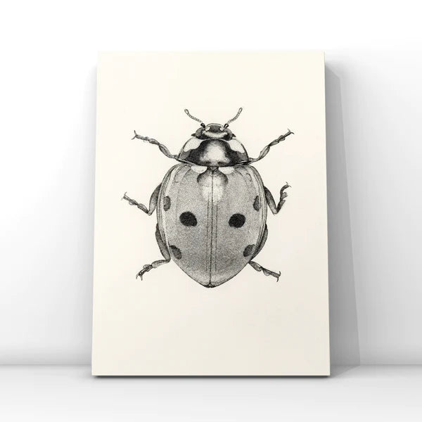 Lisa Mitchell Art | Ladybug