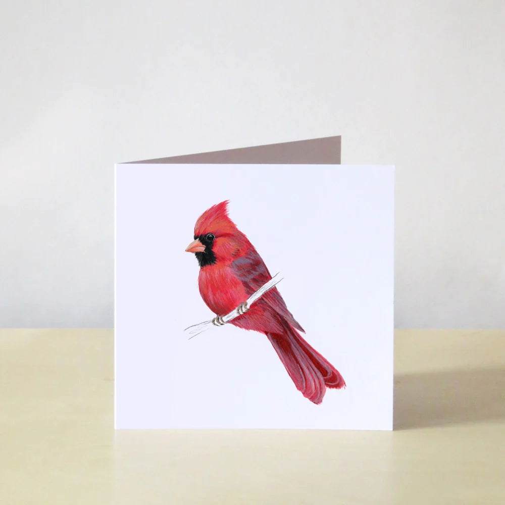 Emilie Simpson Art and Design | Northern Cardinal Card