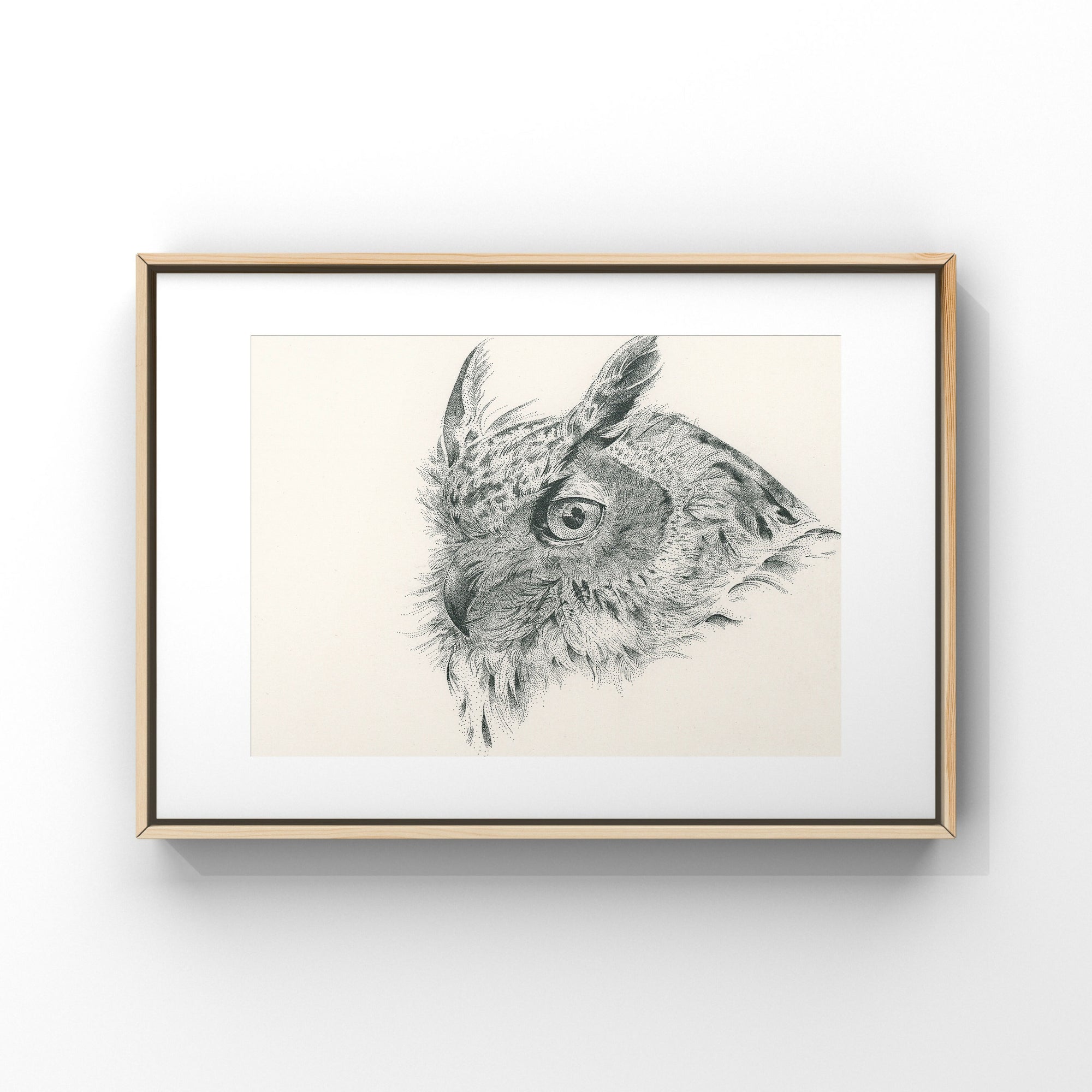 Lisa Mitchell Art | Eurasian Eagle Owl