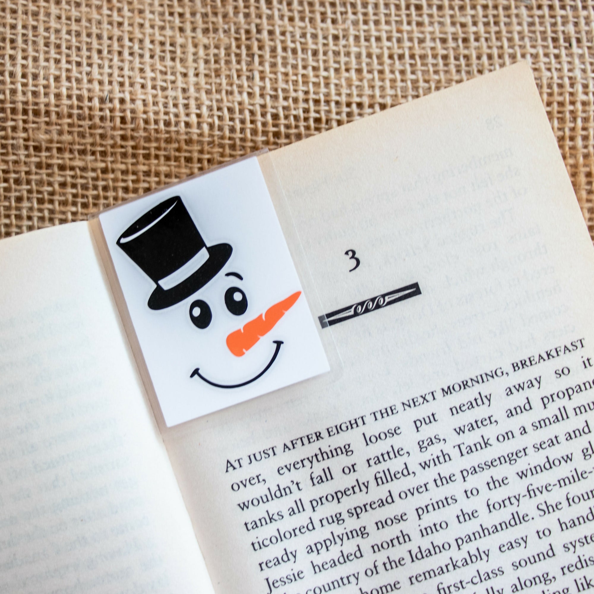 Snowperson in book