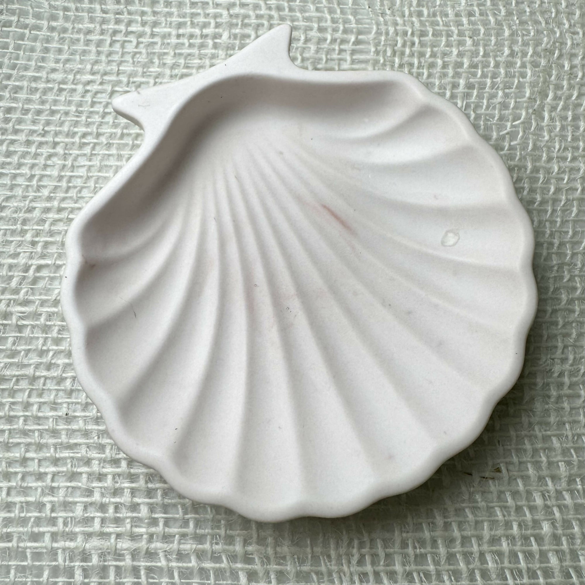 Chic Chaos Home | Seashell Trinket Tray