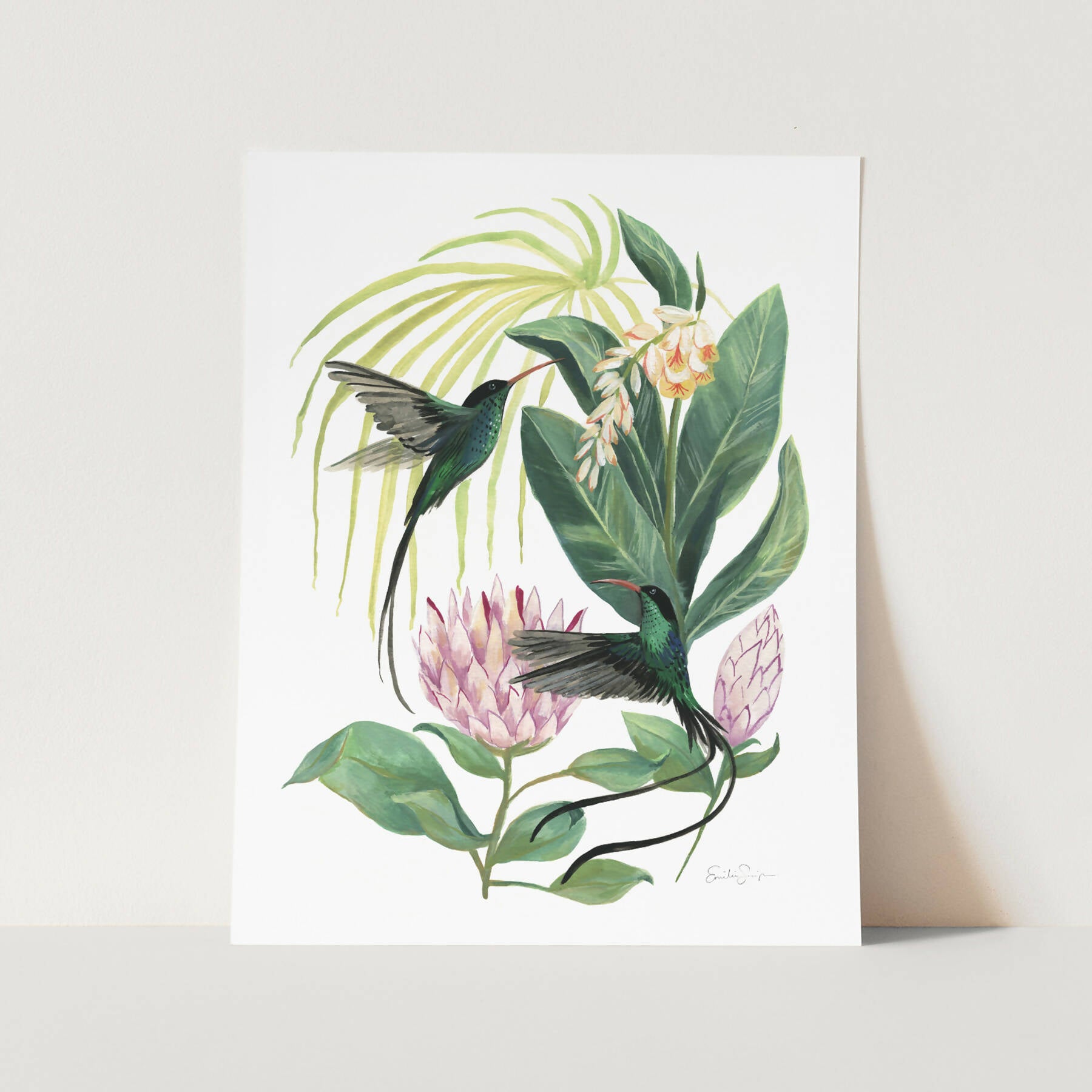 Emilie Simpson Art and Design | Red-billed Streamertail Hummingbird Art Print