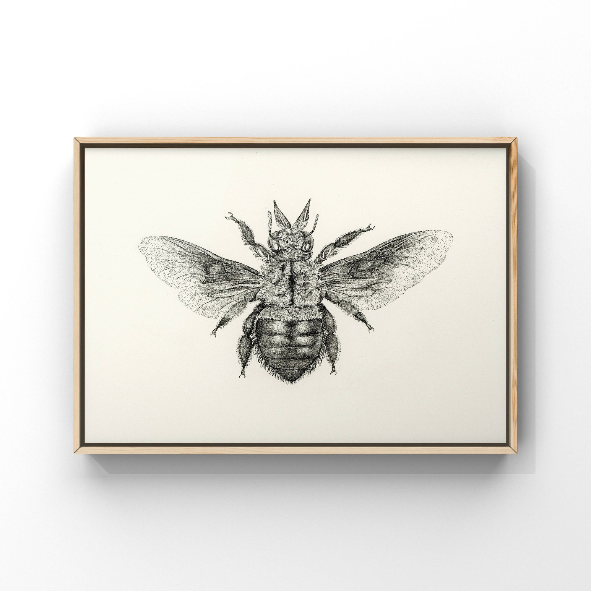 Lisa Mitchell Art | Blue Carpenter Bee