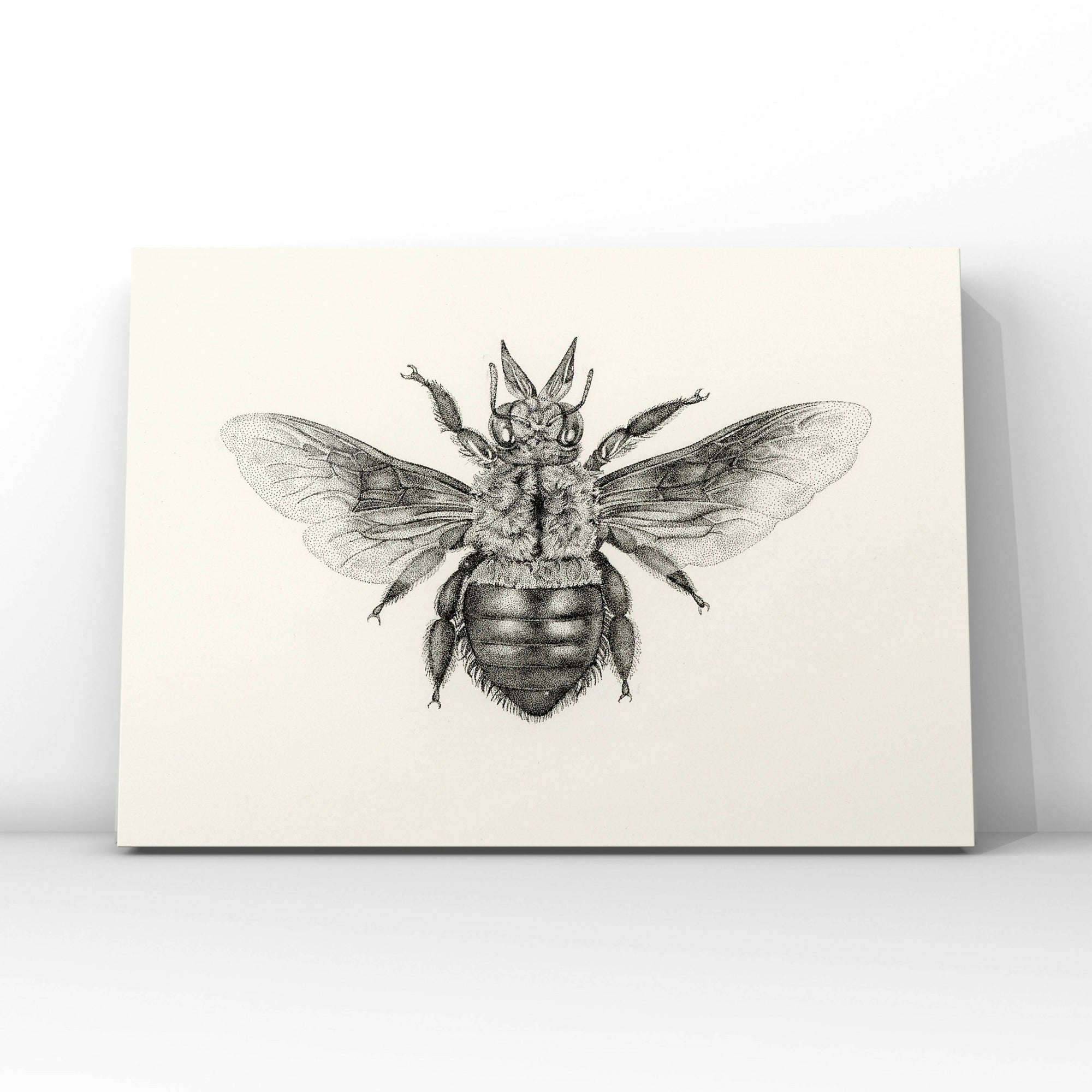 Lisa Mitchell Art | Blue Carpenter Bee