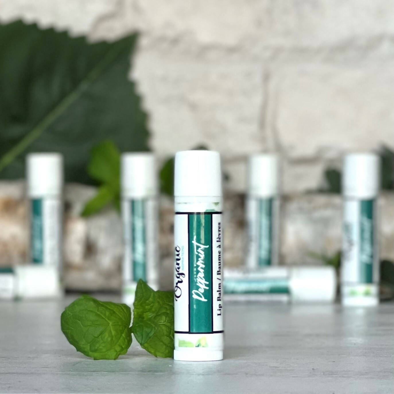 Organic Inspirations | Lip Balm Peppermint