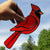 Feather and Fibres | Stained Glass Cardinal Suncatcher