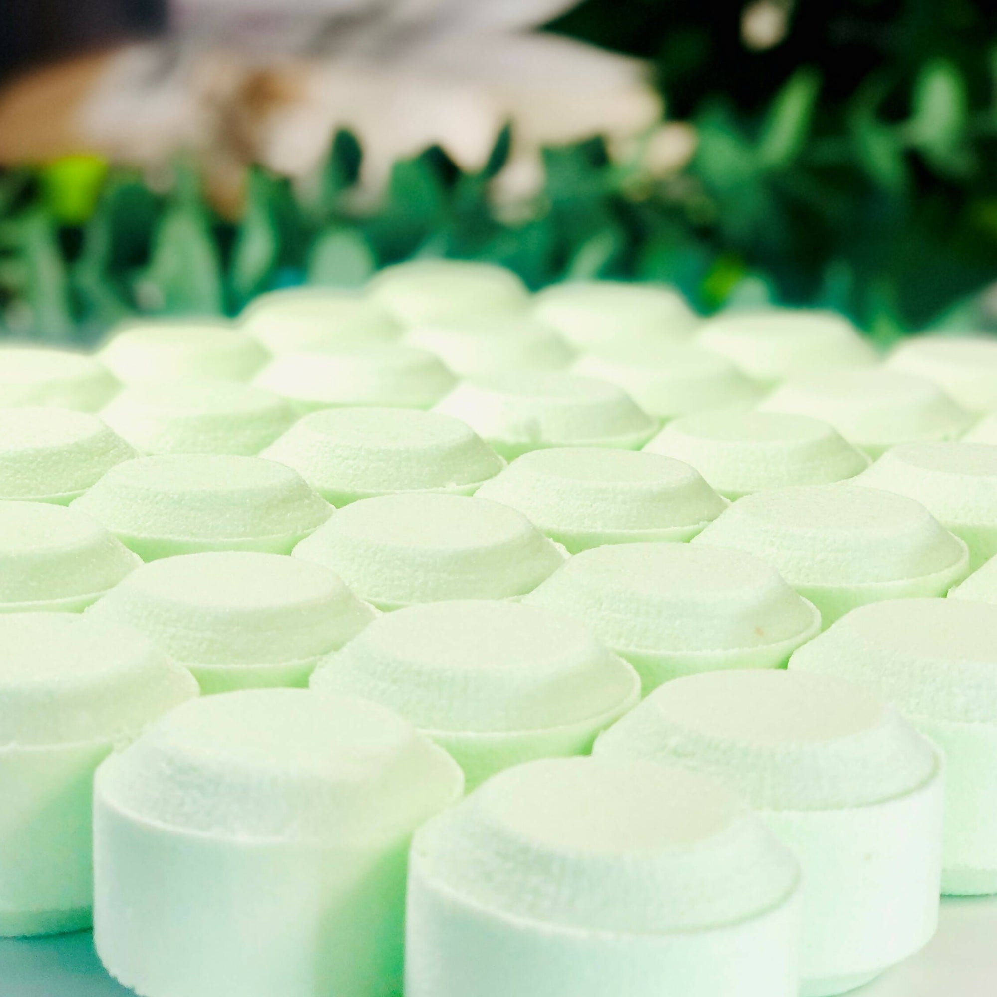 Organic Inspirations | Shower Steamers Winter Mint