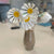 Veronica's Glass Creations | Fused Glass Daisies
