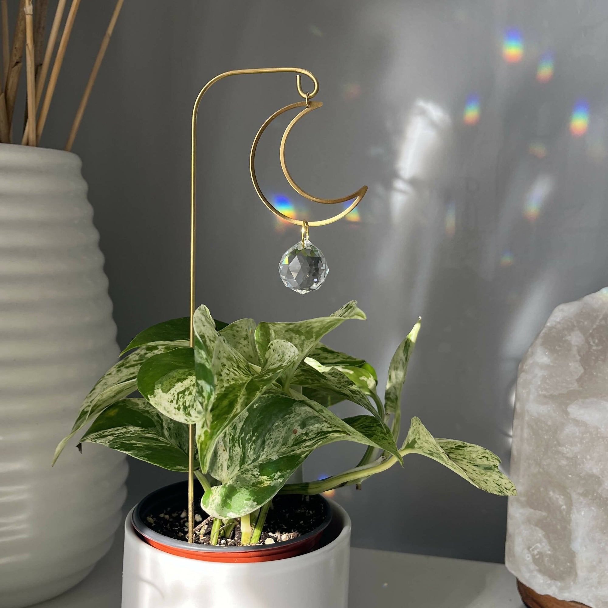 Love + Light | Crystal Bloom Suncatcher for Plants